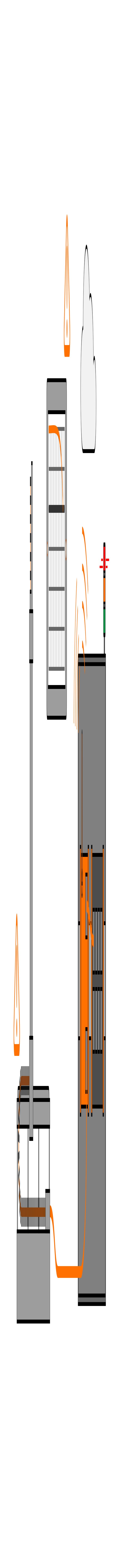 211026 etherlineguard grafik