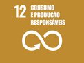 Consumo-e-producao-responsaveis